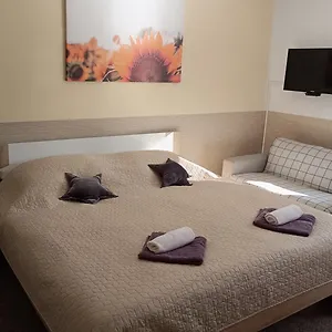 Svitkov 79 Apartment Pardubice